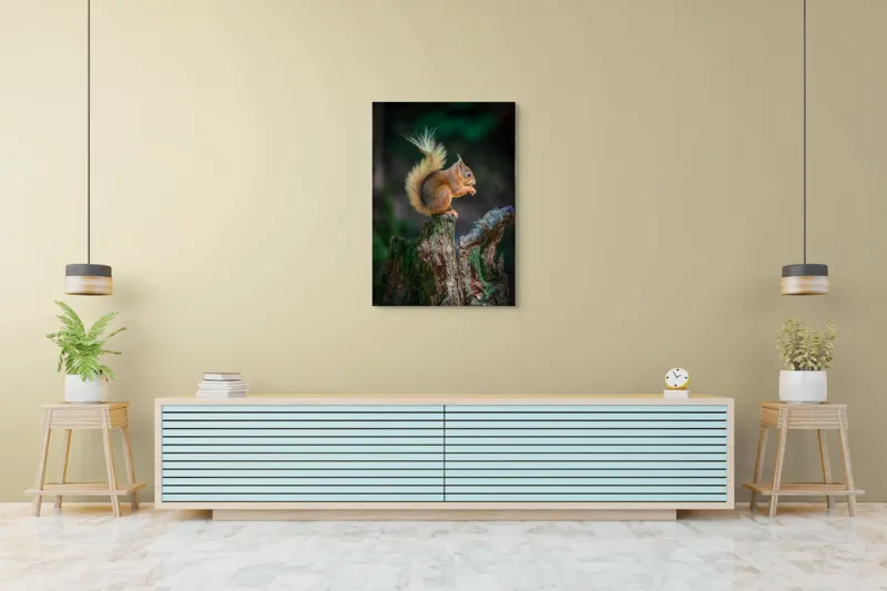 Tablou Canvas, "Veveriță pe trunchi mâncând semințe", Veveriță, Coadă, Blană, Trunchi, Copac, Natură, Pădure, Verde, Lemn, Adorabilă, 70 x 100 cm – poza 5