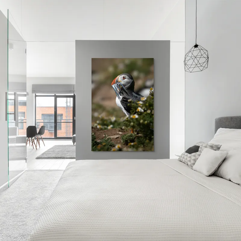 Tablou Canvas, "Puffin cu prada marină strălucitoare", Puffin, Pește, Cioc, Colorat, Natură, Verdeață, Flori, Ochi, Penaj, Bokeh, 100 x 150 cm – poza 5
