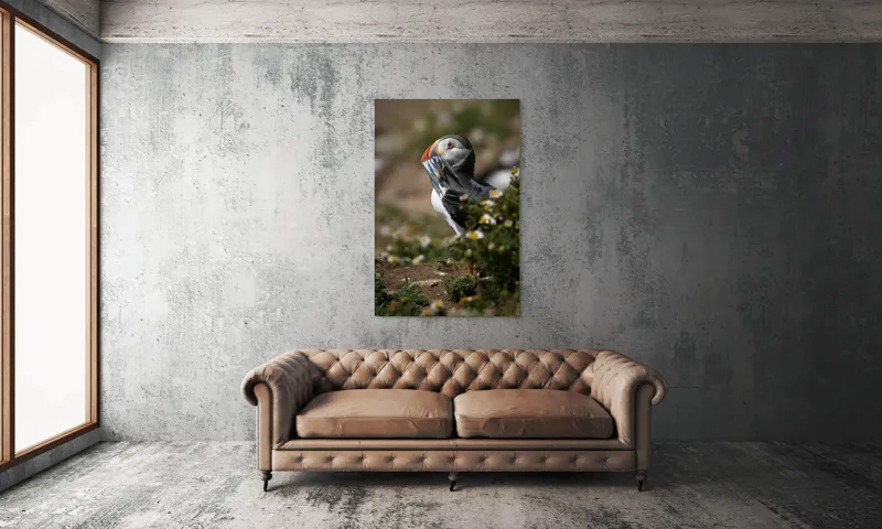 Tablou Canvas, "Puffin cu prada marină strălucitoare", Puffin, Pește, Cioc, Colorat, Natură, Verdeață, Flori, Ochi, Penaj, Bokeh, 100 x 150 cm – poza 6