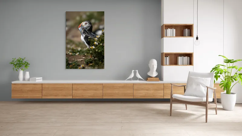 Tablou Canvas, "Puffin cu prada marină strălucitoare", Puffin, Pește, Cioc, Colorat, Natură, Verdeață, Flori, Ochi, Penaj, Bokeh, 100 x 150 cm – poza 8