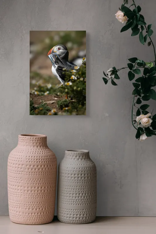 Tablou Canvas, "Puffin cu prada marină strălucitoare", Puffin, Pește, Cioc, Colorat, Natură, Verdeață, Flori, Ochi, Penaj, Bokeh, 26 x 39 cm – poza 6