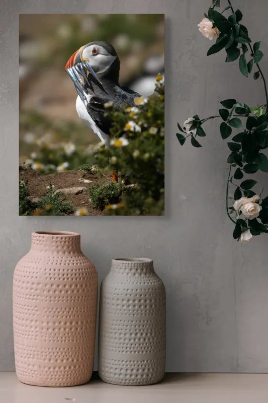 Tablou Canvas, "Puffin cu prada marină strălucitoare", Puffin, Pește, Cioc, Colorat, Natură, Verdeață, Flori, Ochi, Penaj, Bokeh, 39 x 54 cm – poza 6