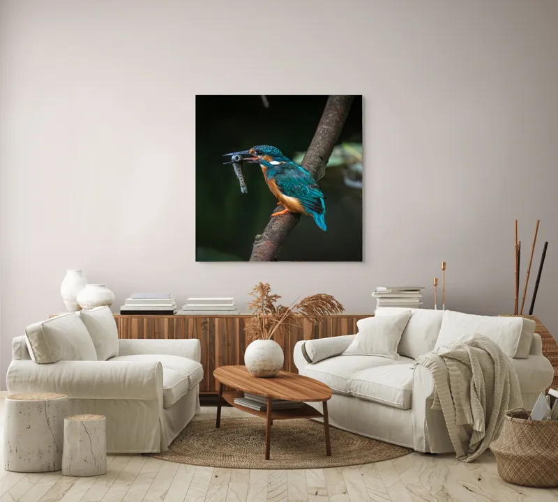 Tablou Canvas, "Pescăruș albastru prinde peștișor argintiu", Pasăre, Pescar, Colorat, Ramură, Pradă, Apă, Natură, Detalii., 100 x 100 cm – poza 3
