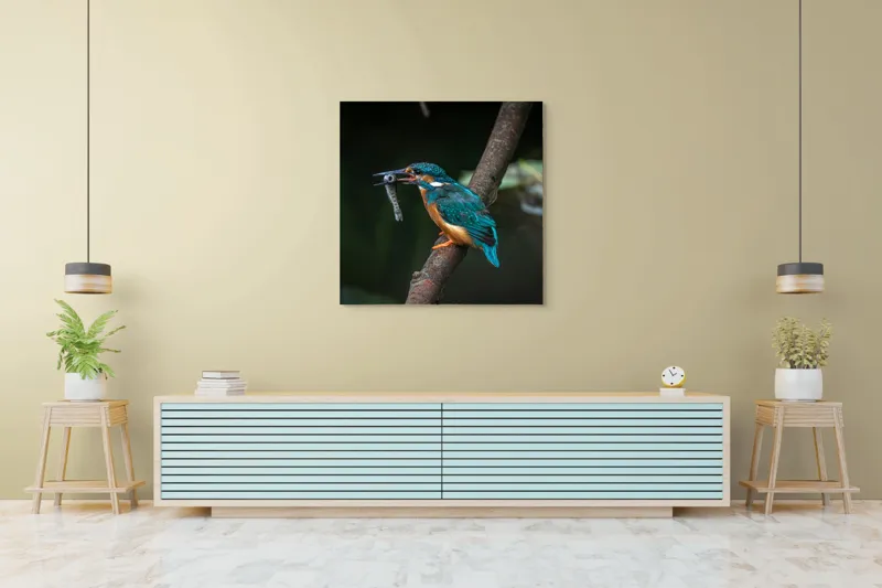 Tablou Canvas, "Pescăruș albastru prinde peștișor argintiu", Pasăre, Pescar, Colorat, Ramură, Pradă, Apă, Natură, Detalii., 100 x 100 cm – poza 5