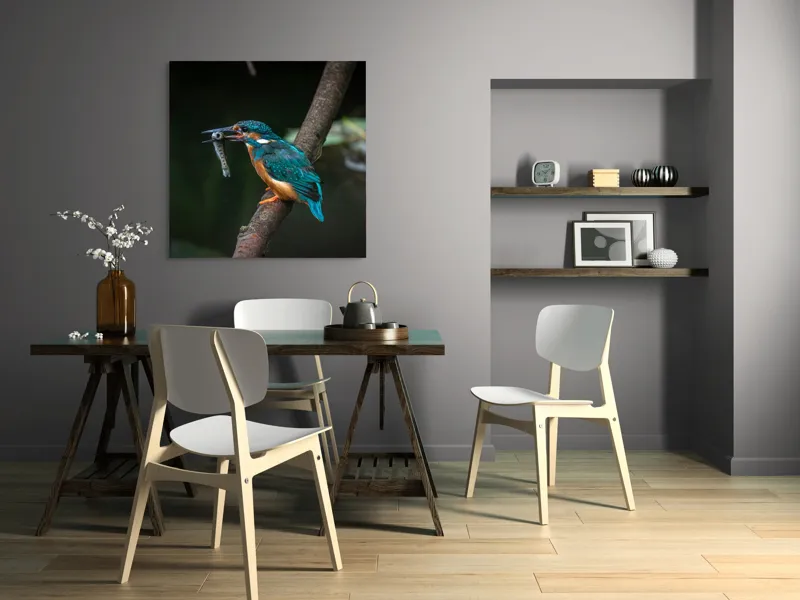Tablou Canvas, "Pescăruș albastru prinde peștișor argintiu", Pasăre, Pescar, Colorat, Ramură, Pradă, Apă, Natură, Detalii., 100 x 100 cm – poza 6