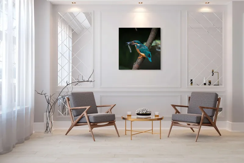 Tablou Canvas, "Pescăruș albastru prinde peștișor argintiu", Pasăre, Pescar, Colorat, Ramură, Pradă, Apă, Natură, Detalii., 100 x 100 cm – poza 7