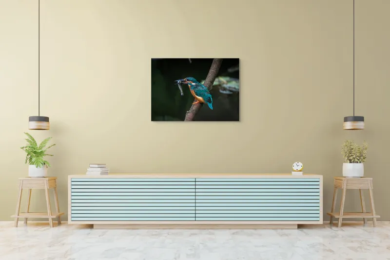 Tablou Canvas, "Pescăruș albastru prinde peștișor argintiu", Pasăre, Pescar, Colorat, Ramură, Pradă, Apă, Natură, Detalii., 100 x 70 cm – poza 4