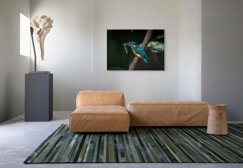 Tablou Canvas, "Pescăruș albastru prinde peștișor argintiu", Pasăre, Pescar, Colorat, Ramură, Pradă, Apă, Natură, Detalii., 100 x 70 cm – poza 7
