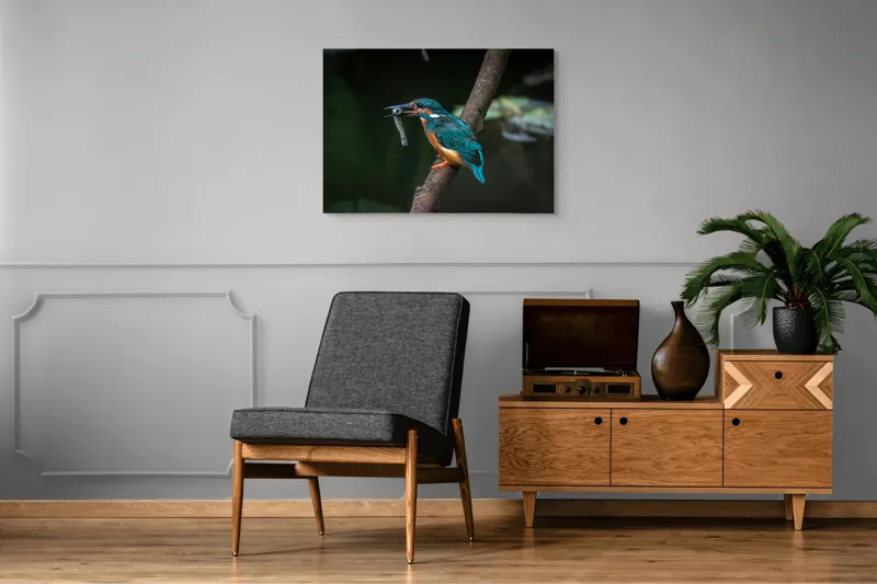 Tablou Canvas, "Pescăruș albastru prinde peștișor argintiu", Pasăre, Pescar, Colorat, Ramură, Pradă, Apă, Natură, Detalii., 100 x 70 cm – poza 8
