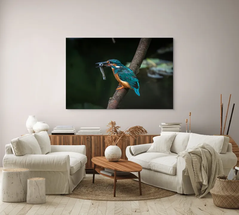 Tablou Canvas, "Pescăruș albastru prinde peștișor argintiu", Pasăre, Pescar, Colorat, Ramură, Pradă, Apă, Natură, Detalii., 150 x 100 cm – poza 3