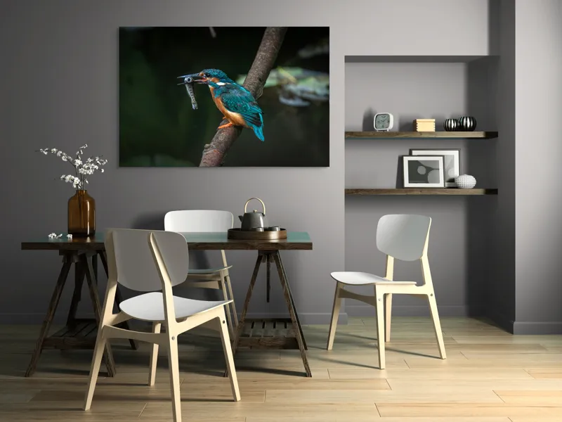 Tablou Canvas, "Pescăruș albastru prinde peștișor argintiu", Pasăre, Pescar, Colorat, Ramură, Pradă, Apă, Natură, Detalii., 150 x 100 cm – poza 5