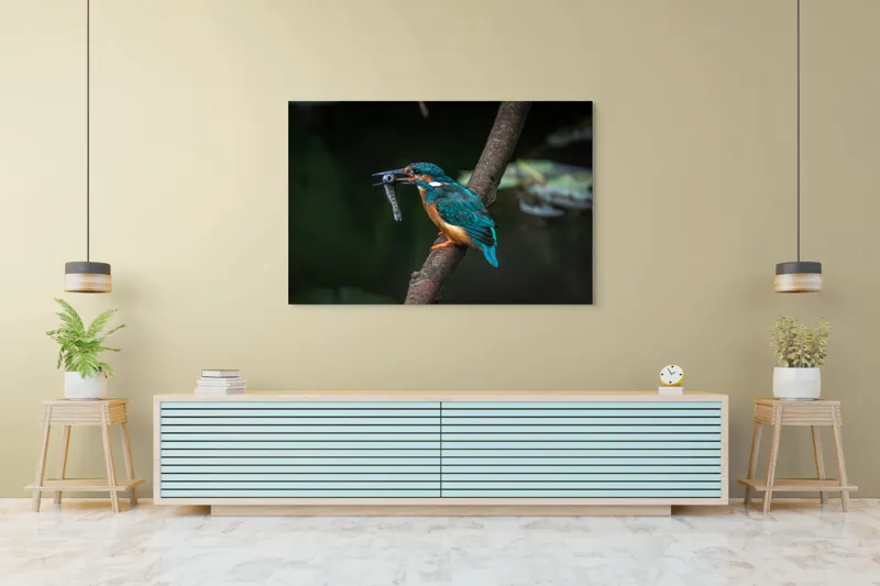 Tablou Canvas, "Pescăruș albastru prinde peștișor argintiu", Pasăre, Pescar, Colorat, Ramură, Pradă, Apă, Natură, Detalii., 150 x 100 cm – poza 6