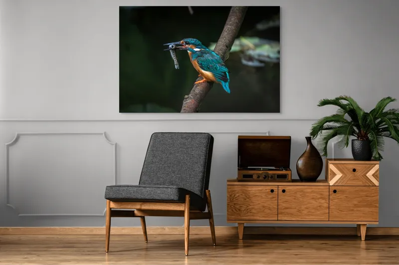 Tablou Canvas, "Pescăruș albastru prinde peștișor argintiu", Pasăre, Pescar, Colorat, Ramură, Pradă, Apă, Natură, Detalii., 150 x 100 cm – poza 8
