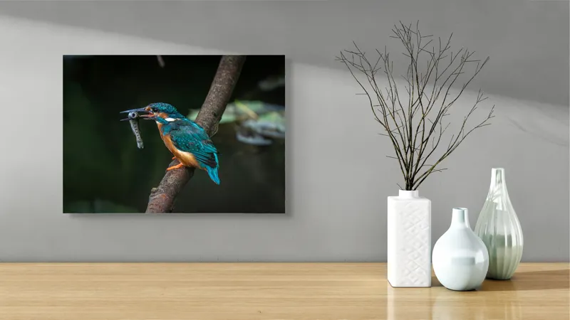 Tablou Canvas, "Pescăruș albastru prinde peștișor argintiu", Pasăre, Pescar, Colorat, Ramură, Pradă, Apă, Natură, Detalii., 54 x 39 cm – poza 3