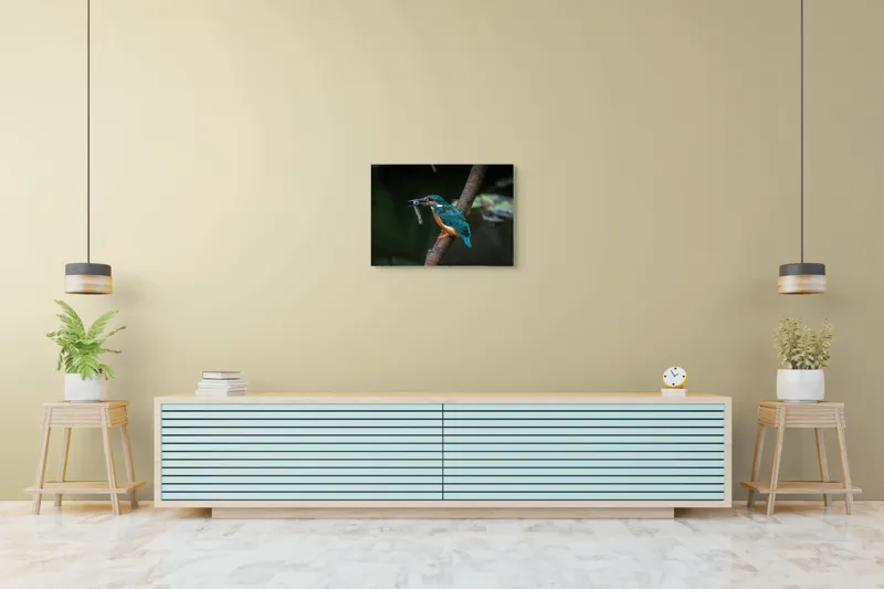 Tablou Canvas, "Pescăruș albastru prinde peștișor argintiu", Pasăre, Pescar, Colorat, Ramură, Pradă, Apă, Natură, Detalii., 70 x 50 cm – poza 7