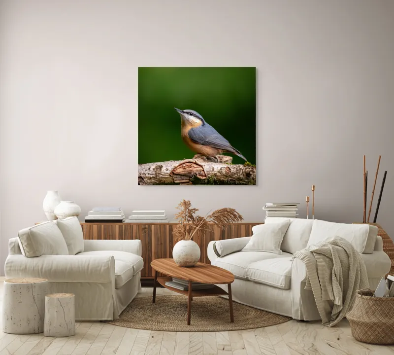 Tablou Canvas, "păsărea pe creanga liniștii verzi", Pasăre, Ramură, Verde, Penaj, Cer, Natură, Fragilitate, Liniște, Delicatețe, 100 x 100 cm – poza 3