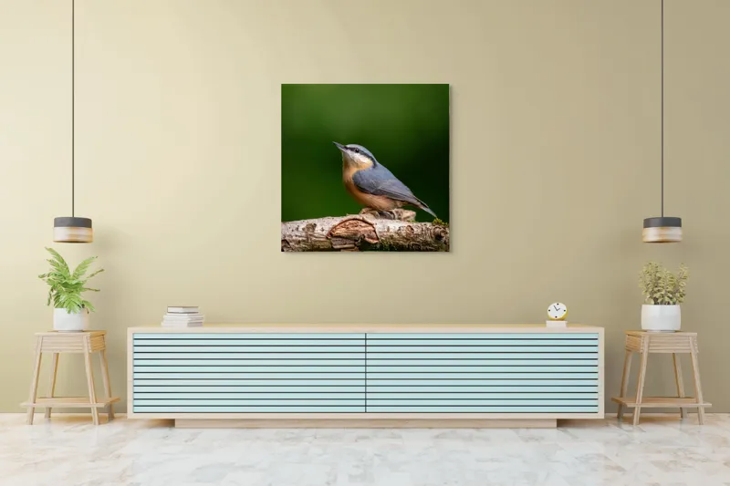 Tablou Canvas, "păsărea pe creanga liniștii verzi", Pasăre, Ramură, Verde, Penaj, Cer, Natură, Fragilitate, Liniște, Delicatețe, 100 x 100 cm – poza 5