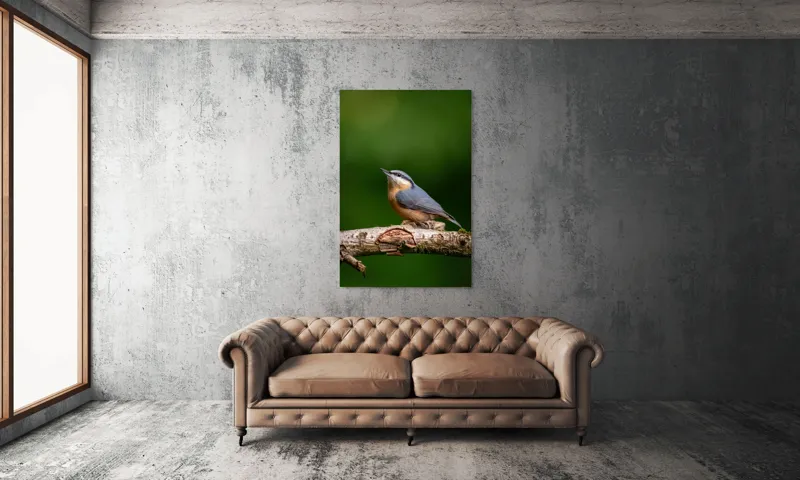 Tablou Canvas, "păsărea pe creanga liniștii verzi", Pasăre, Ramură, Verde, Penaj, Cer, Natură, Fragilitate, Liniște, Delicatețe, 100 x 150 cm – poza 6