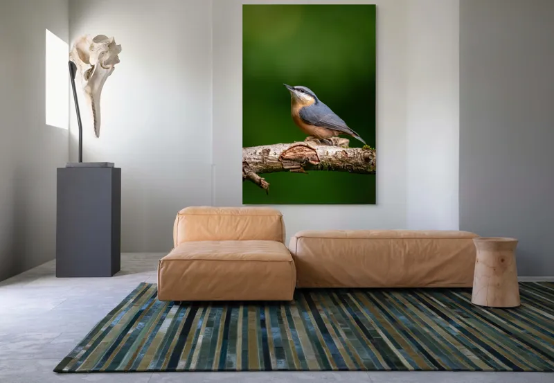 Tablou Canvas, "păsărea pe creanga liniștii verzi", Pasăre, Ramură, Verde, Penaj, Cer, Natură, Fragilitate, Liniște, Delicatețe, 100 x 150 cm – poza 7