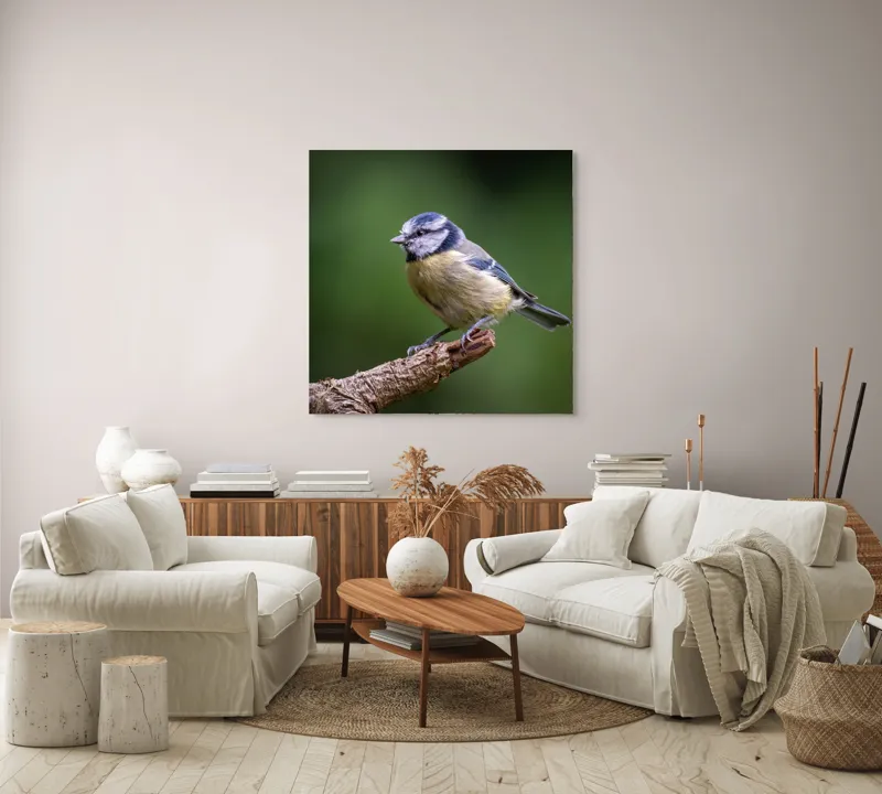 Tablou Canvas, "Nu știu cine este în imagine.", Pasăre, Crenguță, Penaj, Verde, Ochi, Aripă, Natură, Bărbie, Albastru, Galben, 100 x 100 cm – poza 3