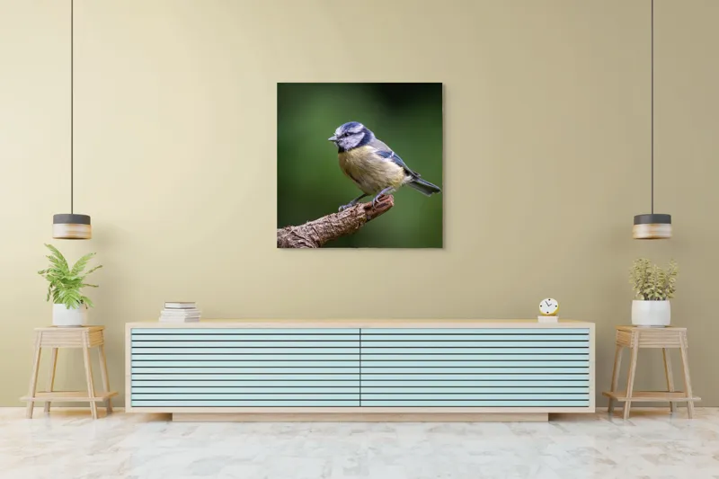 Tablou Canvas, "Nu știu cine este în imagine.", Pasăre, Crenguță, Penaj, Verde, Ochi, Aripă, Natură, Bărbie, Albastru, Galben, 100 x 100 cm – poza 5