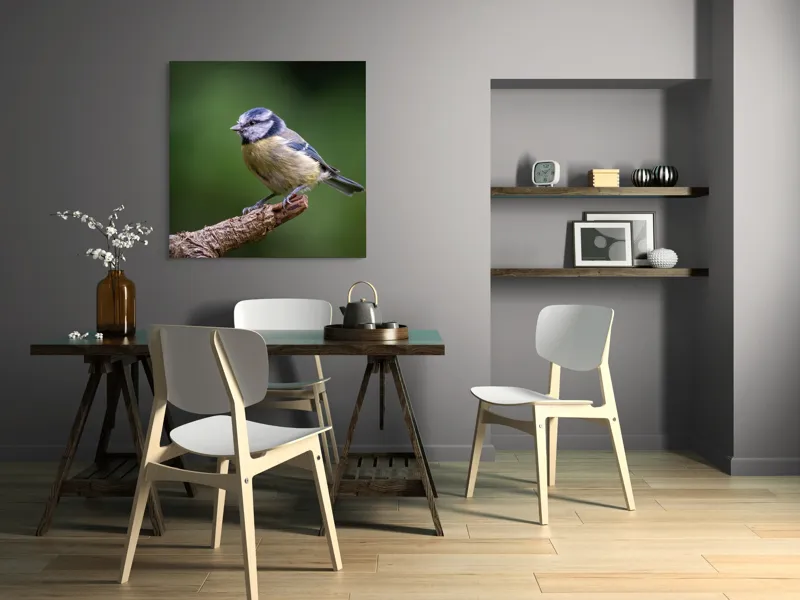 Tablou Canvas, "Nu știu cine este în imagine.", Pasăre, Crenguță, Penaj, Verde, Ochi, Aripă, Natură, Bărbie, Albastru, Galben, 100 x 100 cm – poza 6