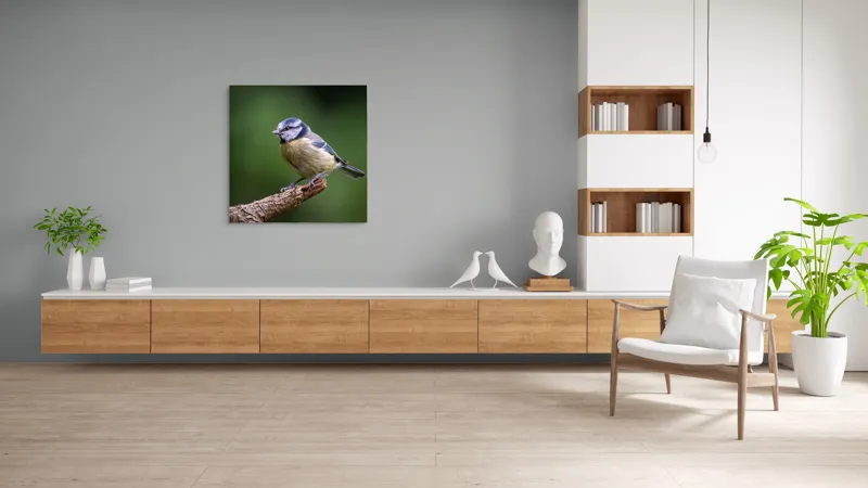 Tablou Canvas, "Nu știu cine este în imagine.", Pasăre, Crenguță, Penaj, Verde, Ochi, Aripă, Natură, Bărbie, Albastru, Galben, 100 x 100 cm – poza 8