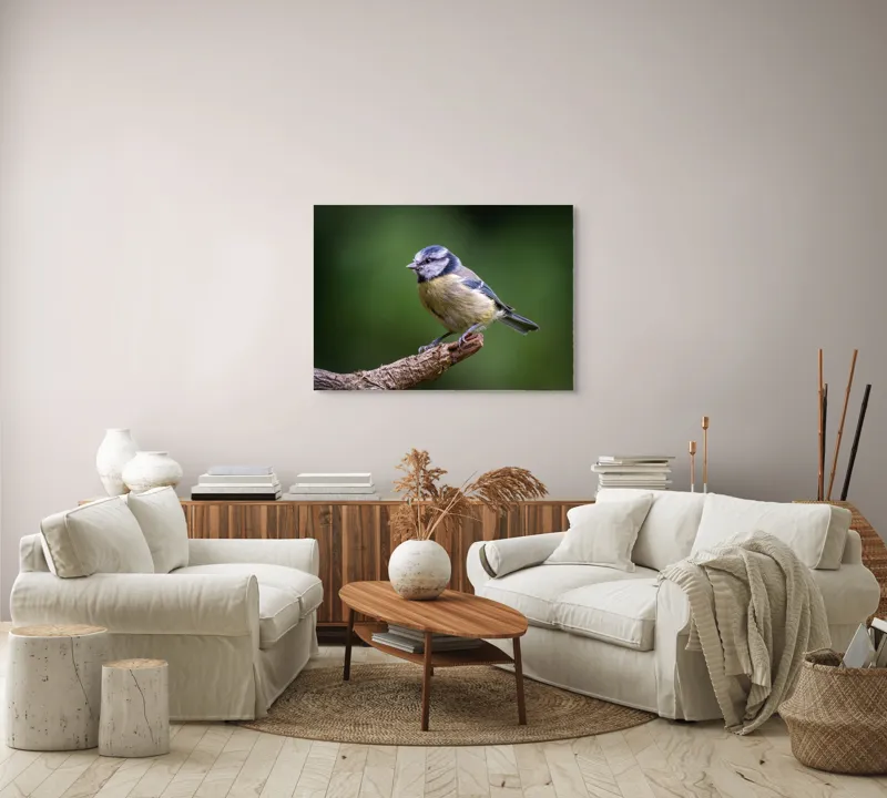 Tablou Canvas, "Nu știu cine este în imagine.", Pasăre, Crenguță, Penaj, Verde, Ochi, Aripă, Natură, Bărbie, Albastru, Galben, 100 x 70 cm – poza 3
