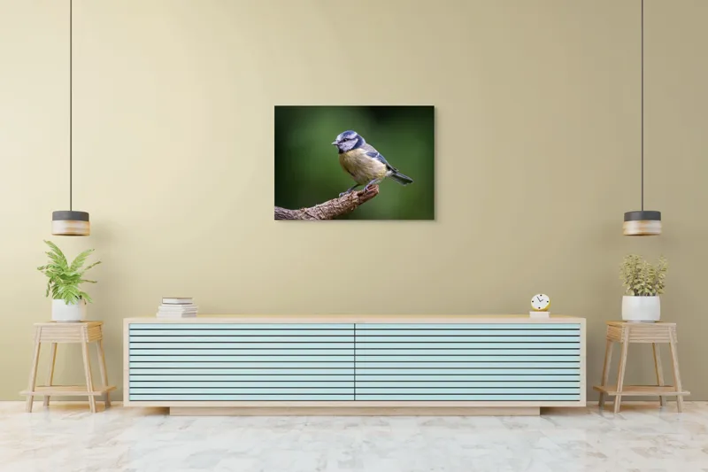 Tablou Canvas, "Nu știu cine este în imagine.", Pasăre, Crenguță, Penaj, Verde, Ochi, Aripă, Natură, Bărbie, Albastru, Galben, 100 x 70 cm – poza 4