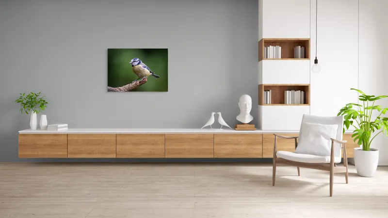 Tablou Canvas, "Nu știu cine este în imagine.", Pasăre, Crenguță, Penaj, Verde, Ochi, Aripă, Natură, Bărbie, Albastru, Galben, 100 x 70 cm – poza 6