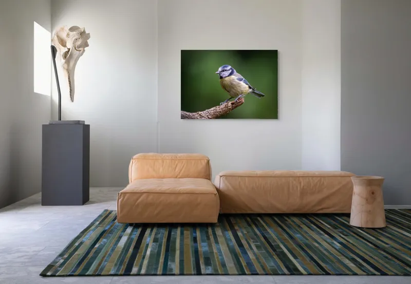 Tablou Canvas, "Nu știu cine este în imagine.", Pasăre, Crenguță, Penaj, Verde, Ochi, Aripă, Natură, Bărbie, Albastru, Galben, 100 x 70 cm – poza 7