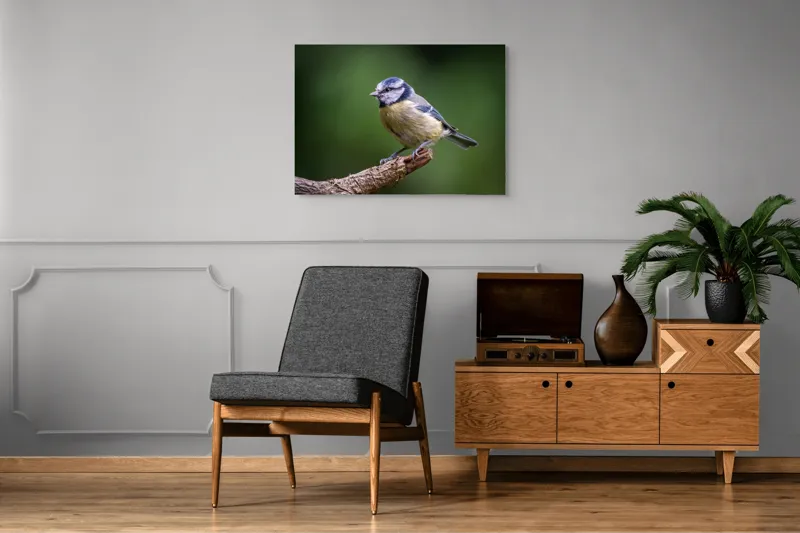 Tablou Canvas, "Nu știu cine este în imagine.", Pasăre, Crenguță, Penaj, Verde, Ochi, Aripă, Natură, Bărbie, Albastru, Galben, 100 x 70 cm – poza 8