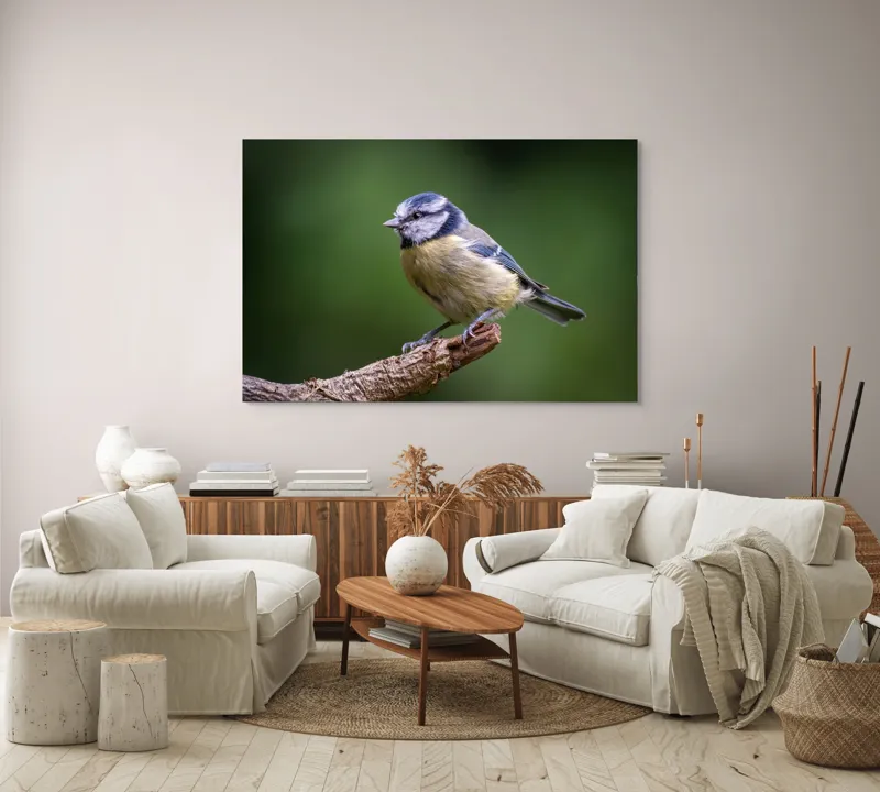Tablou Canvas, "Nu știu cine este în imagine.", Pasăre, Crenguță, Penaj, Verde, Ochi, Aripă, Natură, Bărbie, Albastru, Galben, 150 x 100 cm – poza 3