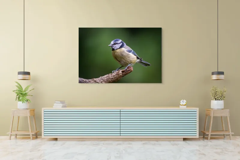 Tablou Canvas, "Nu știu cine este în imagine.", Pasăre, Crenguță, Penaj, Verde, Ochi, Aripă, Natură, Bărbie, Albastru, Galben, 150 x 100 cm – poza 6