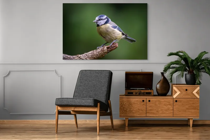 Tablou Canvas, "Nu știu cine este în imagine.", Pasăre, Crenguță, Penaj, Verde, Ochi, Aripă, Natură, Bărbie, Albastru, Galben, 150 x 100 cm – poza 8