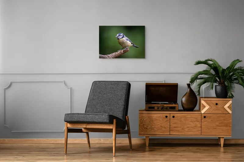 Tablou Canvas, Pasăre, Crenguță, Penaj, Verde, Ochi, Aripă, Natură, Bărbie, Albastru, Galben, 70 x 50 cm – poza 4