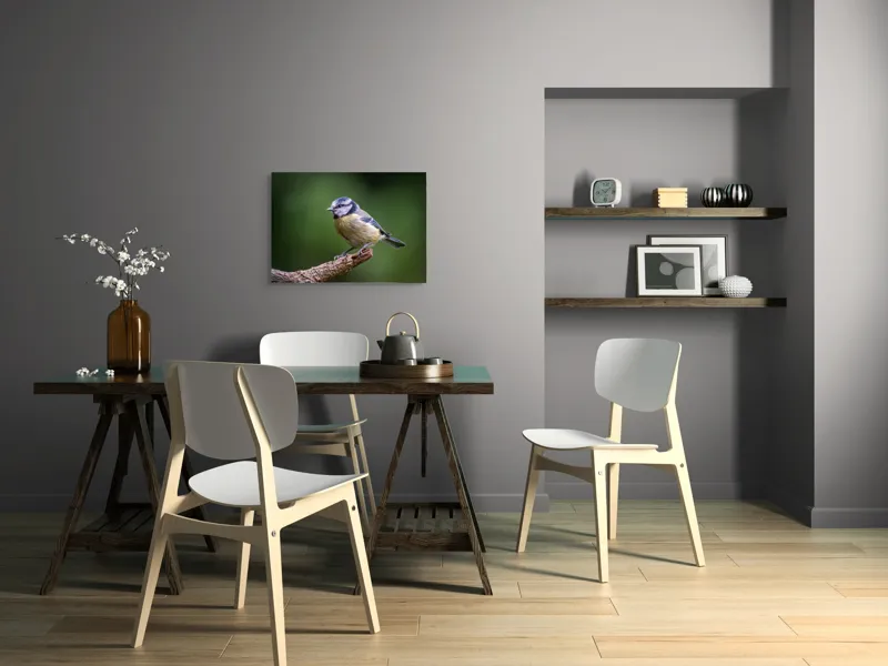 Tablou Canvas, Pasăre, Crenguță, Penaj, Verde, Ochi, Aripă, Natură, Bărbie, Albastru, Galben, 70 x 50 cm – poza 5