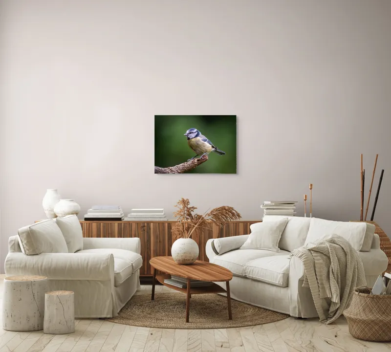 Tablou Canvas, Pasăre, Crenguță, Penaj, Verde, Ochi, Aripă, Natură, Bărbie, Albastru, Galben, 70 x 50 cm – poza 6