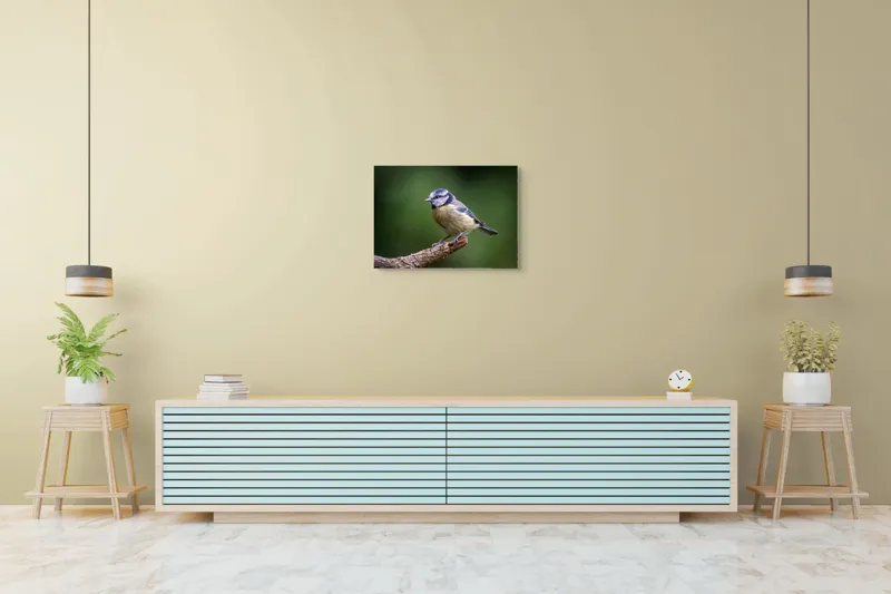 Tablou Canvas, Pasăre, Crenguță, Penaj, Verde, Ochi, Aripă, Natură, Bărbie, Albastru, Galben, 70 x 50 cm – poza 7
