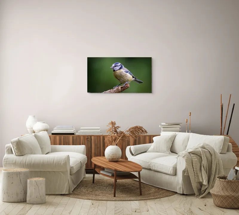 Tablou Canvas, "Nu știu cine este în imagine.", Pasăre, Crenguță, Penaj, Verde, Ochi, Aripă, Natură, Bărbie, Albastru, Galben, 90 x 50 cm – poza 4
