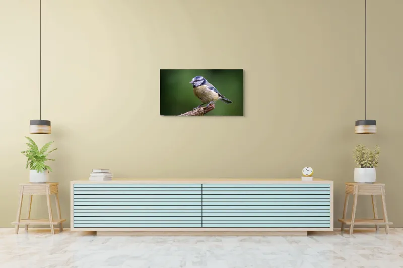 Tablou Canvas, "Nu știu cine este în imagine.", Pasăre, Crenguță, Penaj, Verde, Ochi, Aripă, Natură, Bărbie, Albastru, Galben, 90 x 50 cm – poza 5