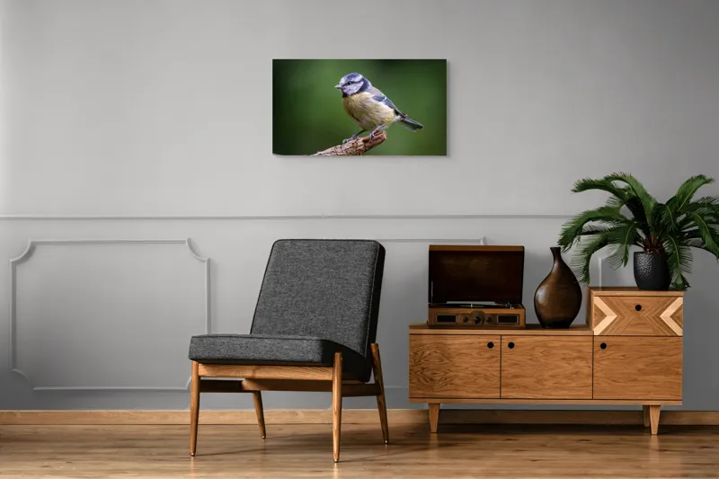 Tablou Canvas, "Nu știu cine este în imagine.", Pasăre, Crenguță, Penaj, Verde, Ochi, Aripă, Natură, Bărbie, Albastru, Galben, 90 x 50 cm – poza 6