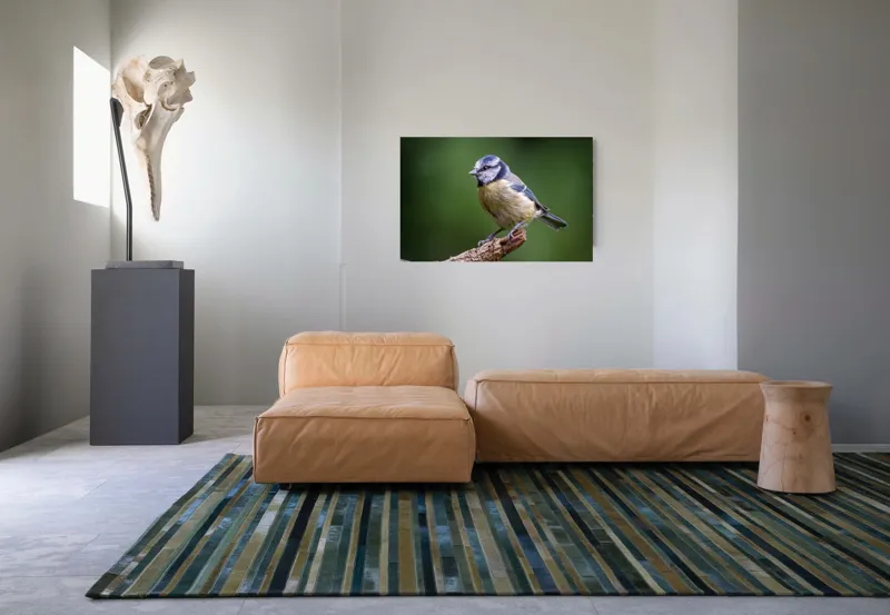 Tablou Canvas, "Nu știu cine este în imagine.", Pasăre, Crenguță, Penaj, Verde, Ochi, Aripă, Natură, Bărbie, Albastru, Galben, 90 x 50 cm – poza 8