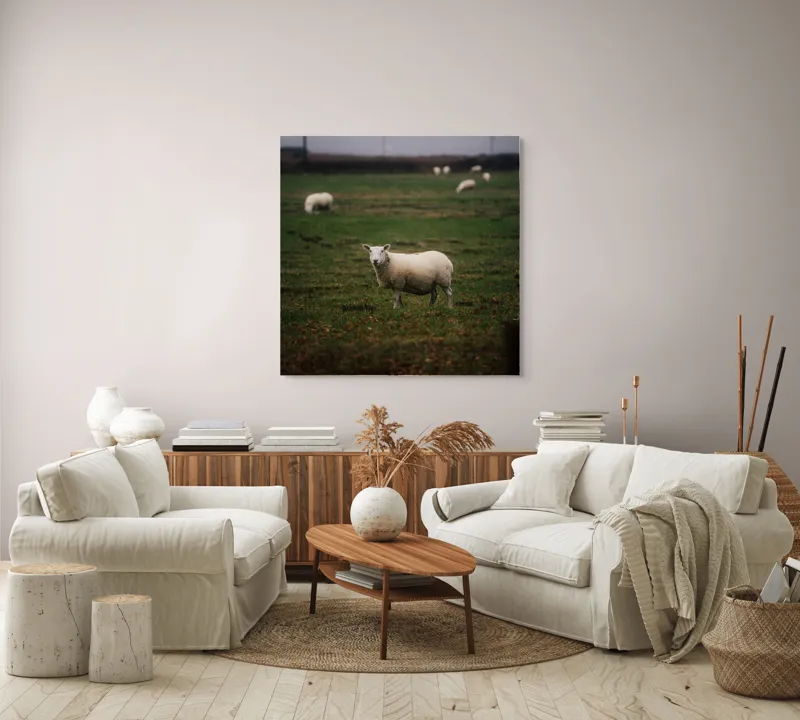 Tablou Canvas, "Oaia singuratică pe câmp verde", Oaie, Câmp, Verdeață, Nori, Ceramică, Toamnă, Liniște, Pășune, 100 x 100 cm – poza 3