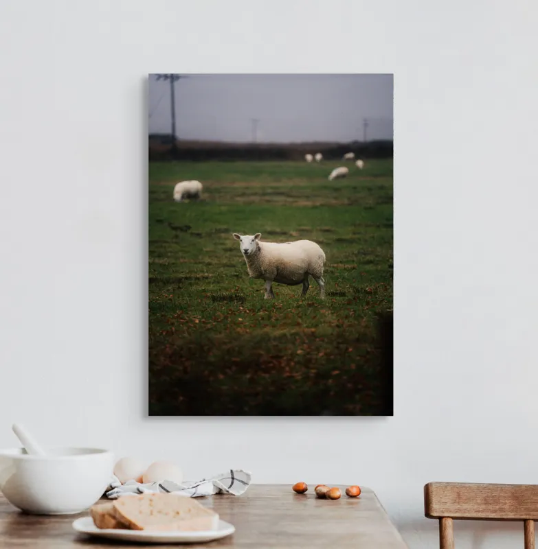 Tablou Canvas, "Oaia singuratică pe câmp verde", Oaie, Câmp, Verdeață, Nori, Ceramică, Toamnă, Liniște, Pășune, 50 x 70 cm – poza 3
