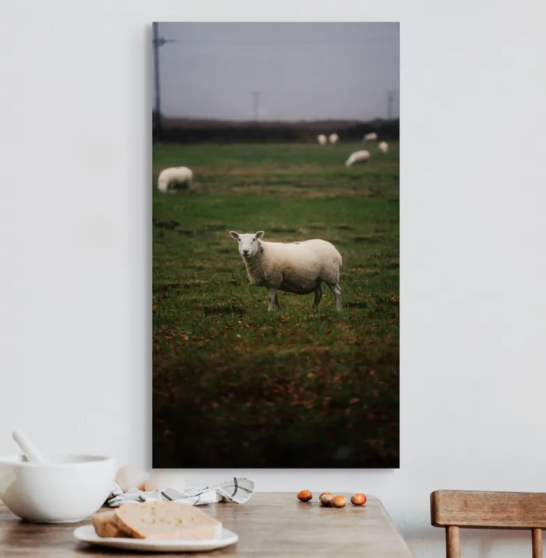Tablou Canvas, "Oaia singuratică pe câmp verde", Oaie, Câmp, Verdeață, Nori, Ceramică, Toamnă, Liniște, Pășune, 50 x 90 cm – poza 3