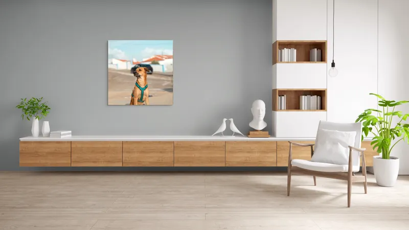 Tablou Canvas, "Câinele la soare pe stradă", Blând, Loial, Viguros, Așezat, Zgarda, Curiozitate, Drumul, Cer, Liniște, 100 x 100 cm – poza 8