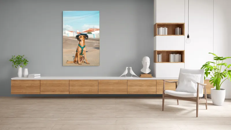 Tablou Canvas, "Câinele la soare pe stradă", Blând, Loial, Viguros, Așezat, Zgarda, Curiozitate, Drumul, Cer, Liniște, 100 x 150 cm – poza 8