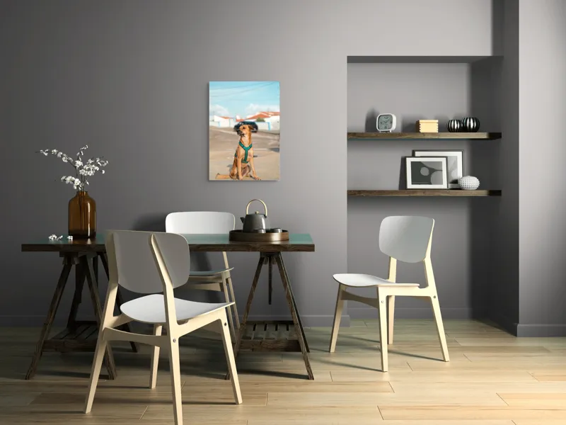 Tablou Canvas, "Câinele la soare pe stradă", Blând, Loial, Viguros, Așezat, Zgarda, Curiozitate, Drumul, Cer, Liniște, 50 x 70 cm – poza 5