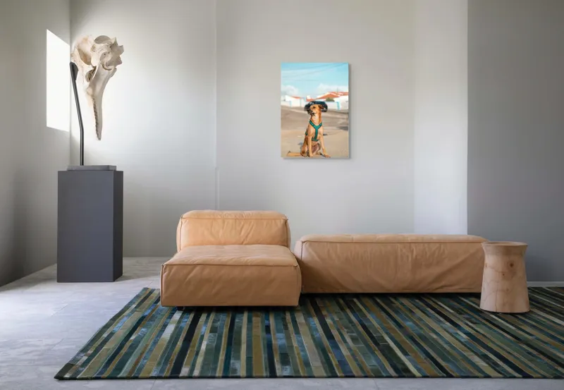 Tablou Canvas, "Câinele la soare pe stradă", Blând, Loial, Viguros, Așezat, Zgarda, Curiozitate, Drumul, Cer, Liniște, 50 x 70 cm – poza 7
